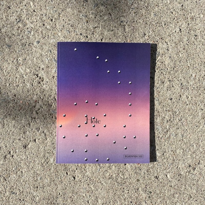 Silverfish 003: Hole